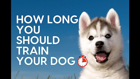 How to train your dog easily