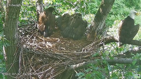 Hays Eagles H20 escorts mom in w/fish-H19 attempts a steal-H20 off w/the fish! 07-12-2023 16:23