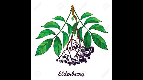 Making Elderberry Syrup