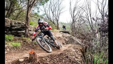 Bikers threatened by a bear on the Bikepark Malino Brdo SLOVAKIA !