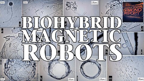 Biohybrid Magnetic Robots - The Diamond Report LIVE with Doug Diamond - 8/16/24