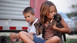 Pet Talk Tuesday – Adoption vs. purchasing a pet and getting a puppy vs. an older pet