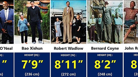 Tallest People in the World - Height Comparison