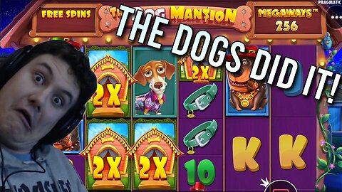 DOG HOUSE DID IT TO ME... (Crazy Slot Win)