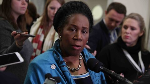 Representative Sheila Jackson-Lee (D-TX) Introduces HR 127 Gun Bill