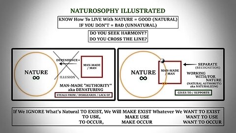 Naturosophy Illustrated Simply - The Philosophy Of Natures - Sapientia Naturae by Cory Endrulat