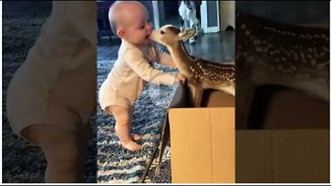 CUTE DEER,BABY PLAY ,LOVE,MUST WATCH,VIRAL,TRENDING,