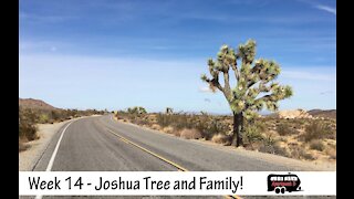 Week 14 - Joshua Tree National Park - Some Family Time