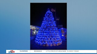 Good to Know: Blue Crabby Christmas Tree