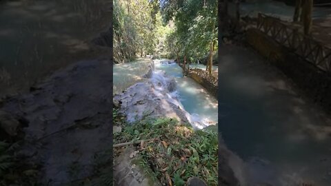 Kuang Si Waterfall Luang Prabang Laos 🇱🇦 #laos #Waterfall #shorts #luangprabang