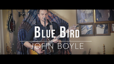 John Boyle. Blue Bird. (Original Song)