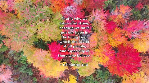 Bible - 1 Timothy 4:10 #quotes #god #jesus