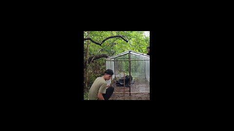 Building a Woodland Cabin with Plastic Wrap. #camping #camp #bushcraft #bushcraftshelter #shelter