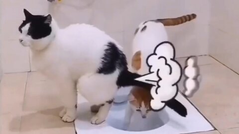 Funny Cute cats viral video 😅🥰 #cat #viral #animal #trending