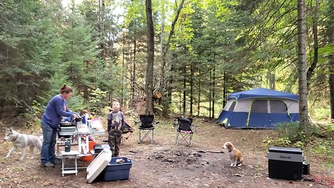 Dispersed Camping in Alpena Michigan Coordinates 45.18273, -83.66394