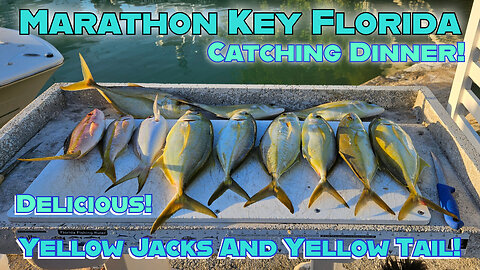 Marathon Key Florida! Catching Dinner!