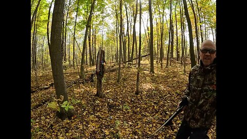 New Forest Target Shooting Layout Practice