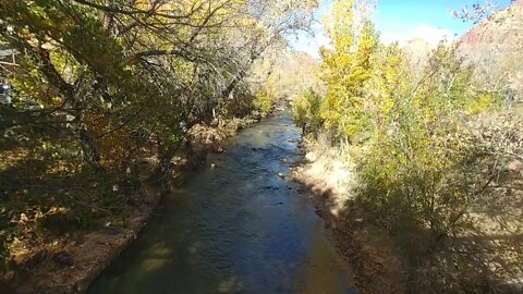 Zion National Park | The Virgin River