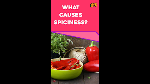 What Is the Science Of Spiciness *