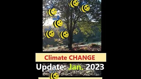 CLIMATE change Re-Gen Farming WHEN to PUT a Bee Colony In