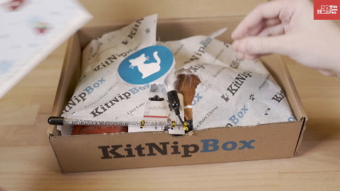 KitNip Unboxing