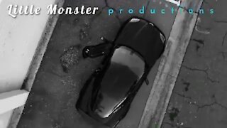 Little Monster Productions custom C6!