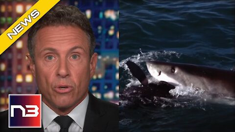 Shark Week Would Beat Out CNN Shows In This Very Important Metric