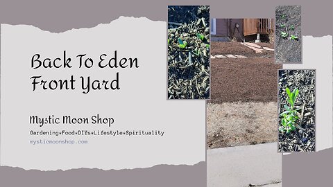 Back To Eden Front Yard - No More Grass!