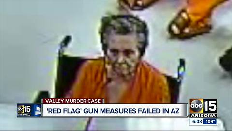 Could guns have been taken from home where elderly woman killed her son?