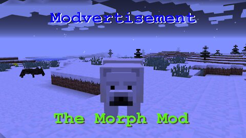 Minecraft Modvertisement (Morph Mod)