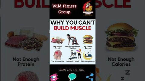 🔥Why you can't build muscle🔥#shorts🔥#wildfitnessgroup🔥16 November 2022🔥