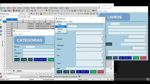 Olhando por dentro - formulários para planilhas