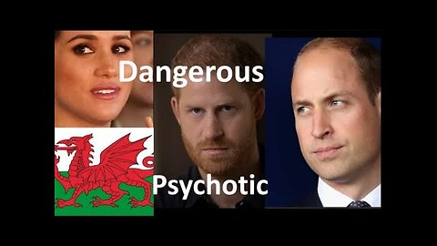 Harry & Meghan Are Seriously Dangerous - No Joke