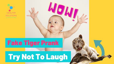 99 % Lose this TRY NOT TO LAUGH Challenge - Fake Tiger Prank Dog - 2021