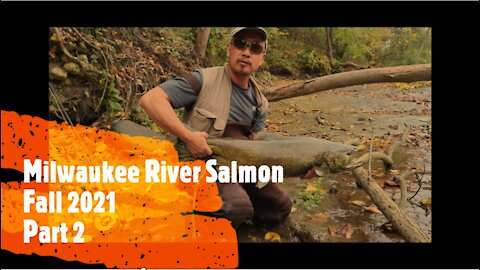 Milwaukee River Salmon Fishign Fall 2021 (Full part 2)