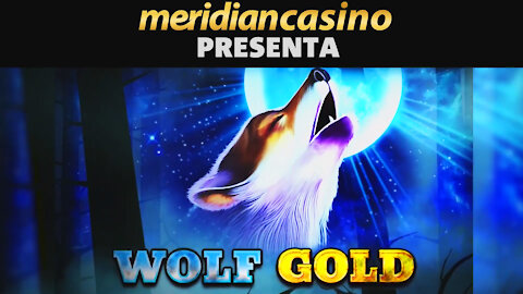 WOLF GOLD 🌚 🐺 | MERIDIAN CASINO | MERIDIANBET