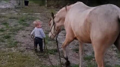 Bebé passeia jovem cavalo