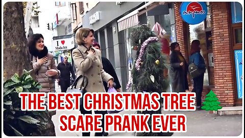 The Best Christmas Tree Scare Prank Ever || New Year's Joke || PrankXYZ