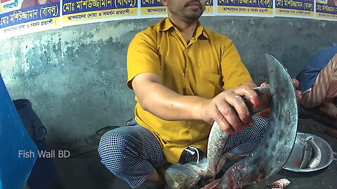 Snakhead Fish Cutting Skills In Fish Cutting Market-Snakhead Fish Cutting Video-Fish Wall BD