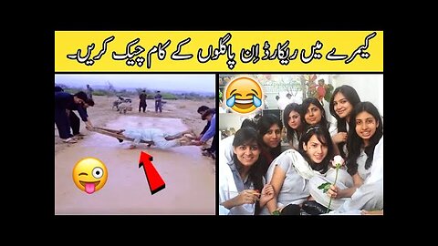 Most Funny Videos On Internet - part ;-59 // most funny moments caught on camera 😅😜