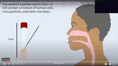 Dr Kaufman Chromosome 8 and the SARS COV2 PCR test