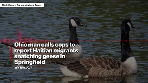 Springfield, Ohio witness reported Haitian migrants snatching geese out of park