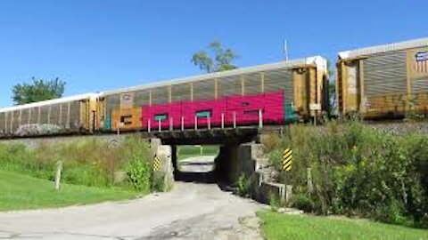 Honey Bees and CSX Autorack Train From Bascon, Ohio August 31, 2020