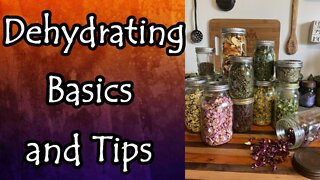 Dehydrating Basics: Times, Temps, Tips, and More