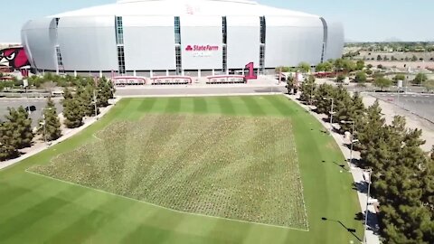 Arizona flags arranged at State Farm Stadium for lives lost to COVID