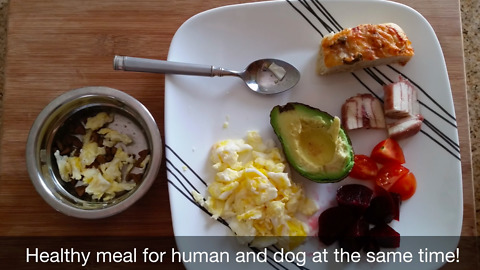 02 Healthy Lunch for Human and Dog