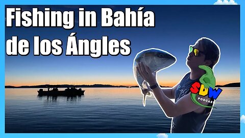 Fishing in Baja