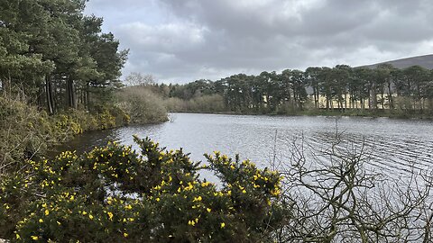 Rab Anderson 59 - Three Hills from Harlaw