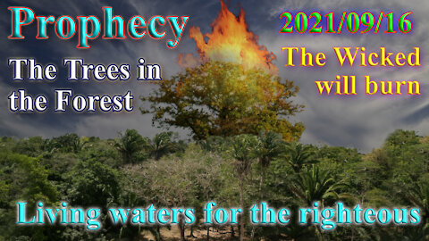 Prophecy, Forest, trees, Fire and living waters