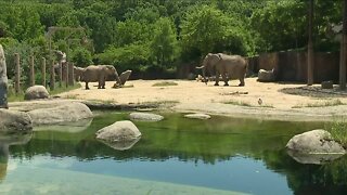 Cleveland Metroparks Zoo reopens this week and you'll need to make reservations to visit